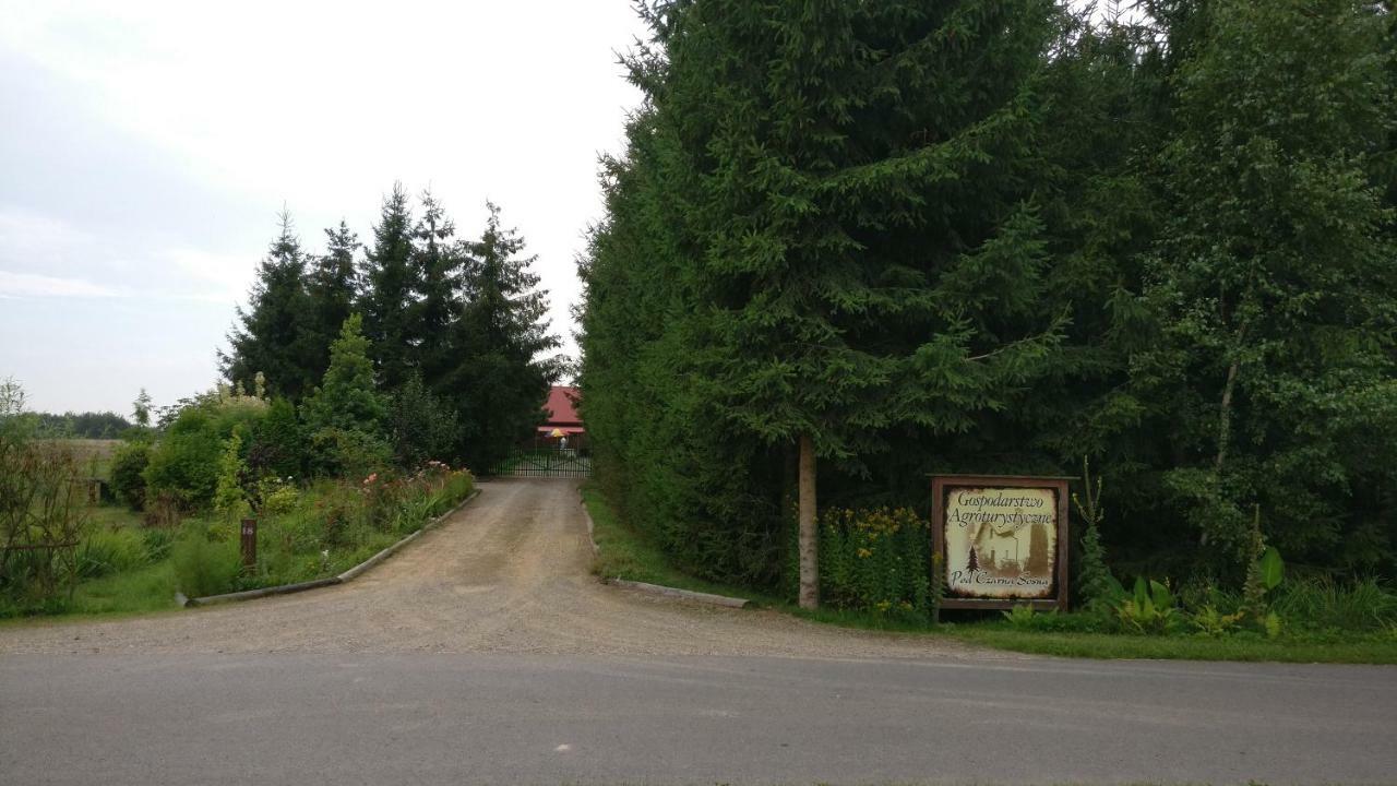 Agroturystyka Pod Czarna Sosna Bialy Lug Dış mekan fotoğraf