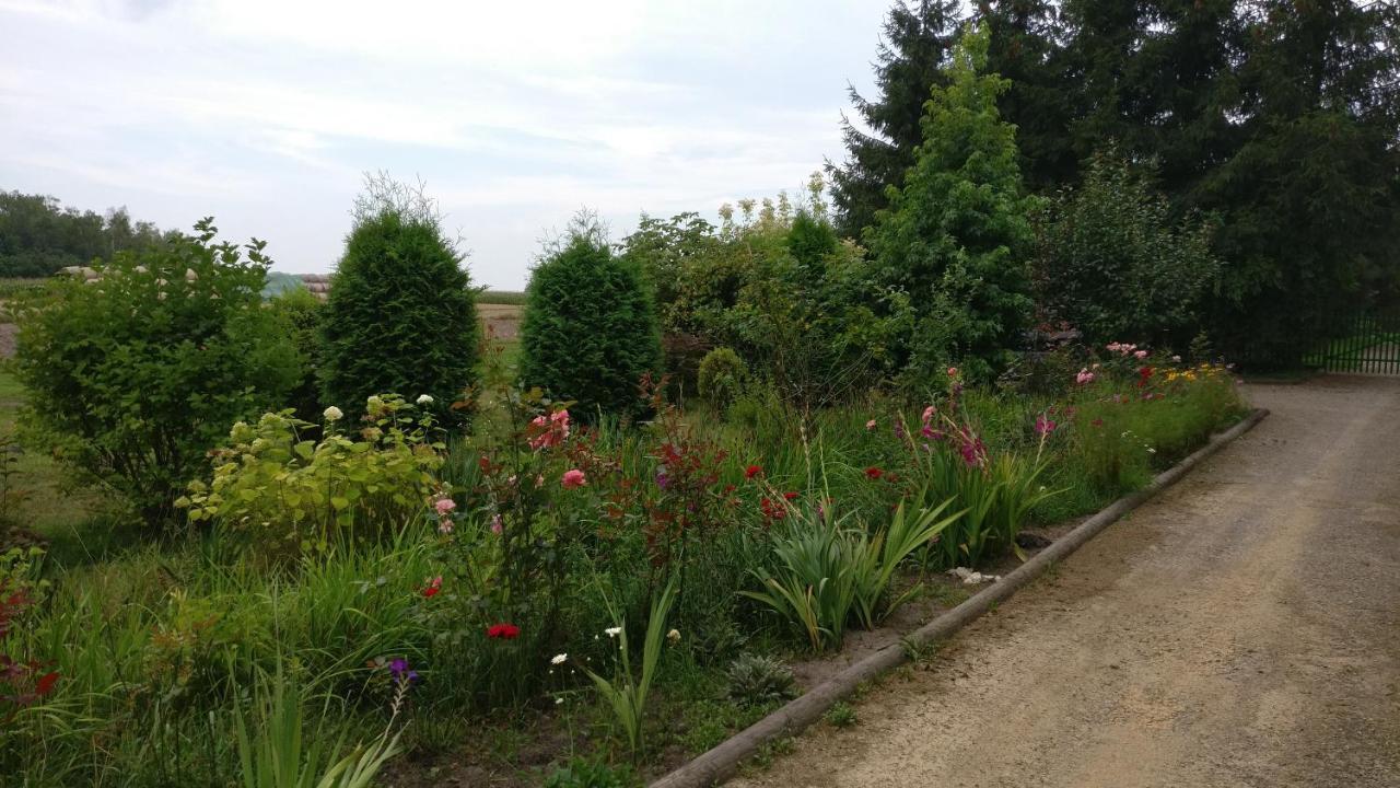 Agroturystyka Pod Czarna Sosna Bialy Lug Dış mekan fotoğraf